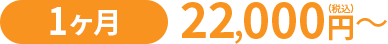 1ヶ月22,000円（税込み）〜
